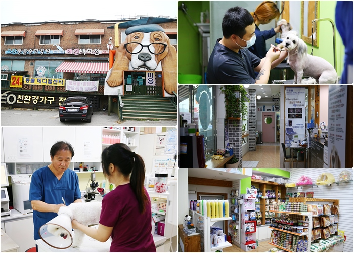 진료를 하고 있는 김상현 원장과 모란 동물병원 내부 모습