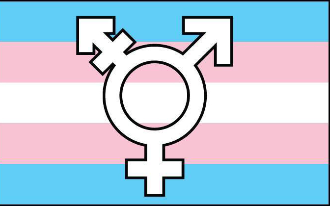 공정인가, 포용인가 - 트랜스젠더 대회 출전, 어떻게? 기사 이미지